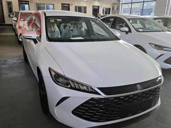 بي واي دي Qin Plus 2025 للبيع في العراق -  بغداد